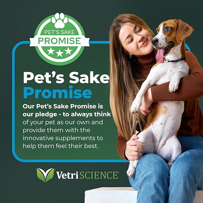 VetriScience Veterinary Strength Healthy Cognition Chews - Senior Wellness Supplement for Dogs - Supports Cognition, Immune Function & Metabolism - 60 Count