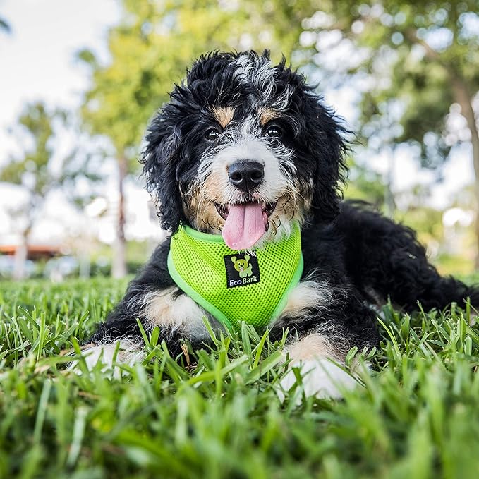 EcoBark Dog Harness - Eco-Friendly Max Comfort Harnesses - Luxurious Soft Mesh Halter - Over the Head Harness Vest- No Pull and No Choke for Puppy, Small Breeds & Medium Dogs (Large, Green)
