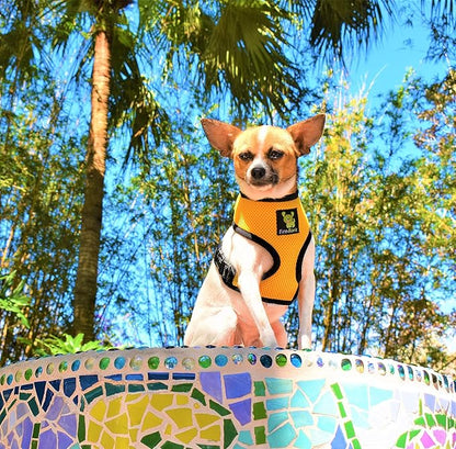 EcoBark Dog Harness - Eco-Friendly Max Comfort Harnesses - Luxurious Soft Mesh Halter - Over the Head Harness Vest- No Pull and No Choke for Puppy, Toy Breeds & Small Dogs (Small, Yellow)