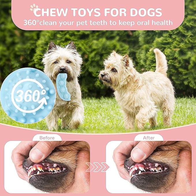 6 Pack Pet Dog Puppy Chew Toys for Teething Small Dogs,Soft Natural Rubber Blue Interactive Dog Puppy Toys Fun Cleaning Squeaky,Funny Dog Chew Toys for Small Medium Breed