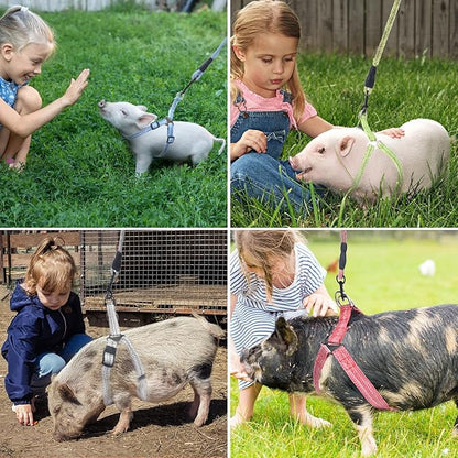 Mini Pig Harness, Adjustable Small Pig Harness with Leash Infinity Style Lead and Soft Foam Handle for Small to Medium Pet Pigs Walking Training Jogging (Green, M)