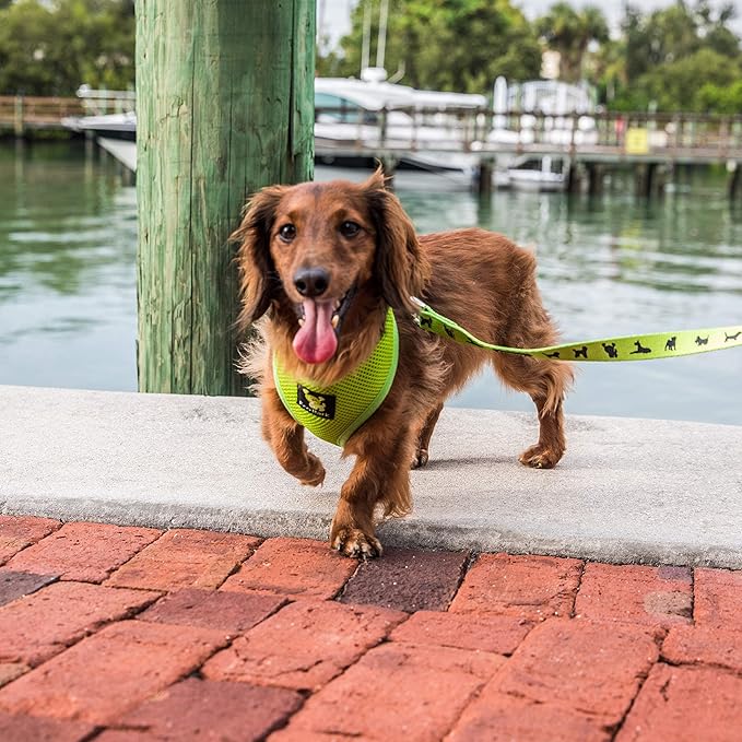 EcoBark Dog Harness - Eco-Friendly Max Comfort Harnesses - Luxurious Soft Mesh Halter - Over the Head Harness Vest- No Pull and No Choke for Puppy, Toy Breeds & Small Dogs (Medium, Green)