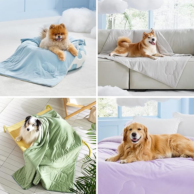 LE SURE Premium Cooling Blankets for Large Dogs - Washable Dog Cooling Throw Blanket with Q-MAX>0.4，Durable Self Cooling Pet Mat for Cat, Soft Cooling Summer Blanket for Hot Weather, Purple, 40x50