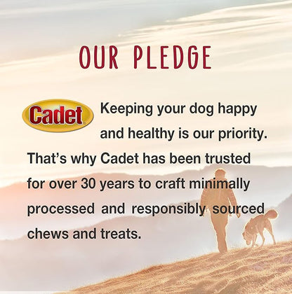 Cadet Stuffed Shin Bone, Long-Lasting Dog Chew Bones for Aggressive Chewers, High Protein Filled Bone Dental Chew for Dogs, Bacon & Cheese Flavor Filling, 5-6" for Large Dogs