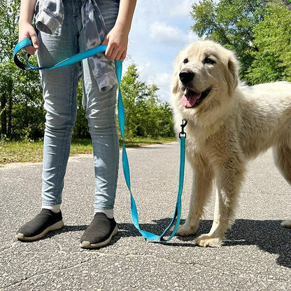 Joytale Dog Leash Heavy Duty for Large Dogs that Pull, Double Handle for Traffic Control, Double-Sided Reflective Leashes for Large Medium Dogs Night Safety, 5FT, Aqua Blue