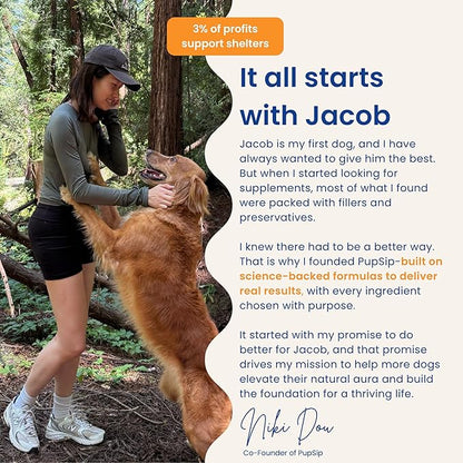 Dog Hydration & Recovery – Helps Dogs Drink More Water During Diarrhea, Vomiting, Low Appetite & Post-Surgery – Digestion Support with Turkey Tail Mushroom & Bone Broth, 12 Sticks