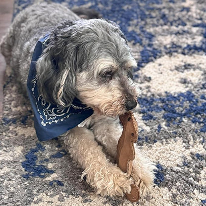 SPOT Dura-Fused Leather Squirrel Dog Toy – Real Leather & Jute Fabric, Double-Stitched & Durable, Soft Stuffed Squeaky Interactive Chew Toy for Moderate Chewers, Small & Medium Dogs, 8in