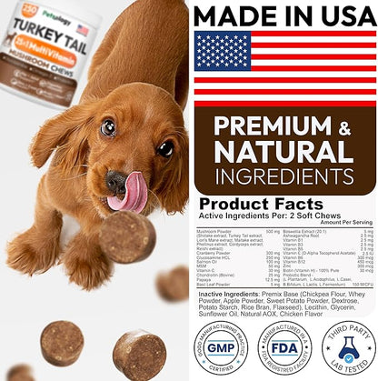 Turkey Tail Mushroom for Dogs - 250 Chews - Lion’s Mane - Shiitake - Reishi - Buddy Immune Support Guard - Lipoma Mushroom Supplement for Dogs Lumps and Bumps Glucosamine, Health Vitamins Multivitamin