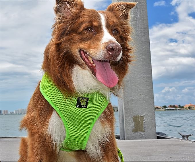 Classic Dog Harness Innovative Mesh No Pull No Choke Design Soft Double Padded Breathable Vest for Eco-Friendly Easy Control Walking for Large Puppies Full Size Breeds & Extra Large Dogs (XXL, Green)