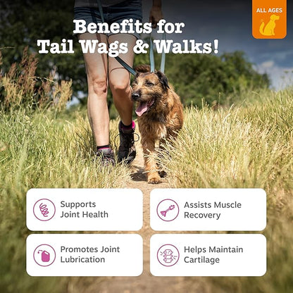 Zesty Paws Hip and Joint for Dogs, Glucosamine for Dogs Hip and Joint Supplement with Chondroitin, MSM, Vitamins C & E - Bacon, 50 Count