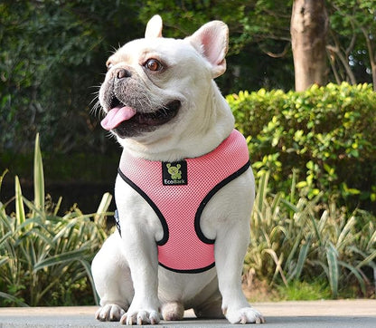 EcoBark Dog Harness - Eco-Friendly Max Comfort Harnesses - Luxurious Soft Mesh Halter - Over the Head Harness Vest- No Pull and No Choke for Puppy, Small Breeds & Medium Dogs (Large, Light Pink)