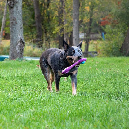 Chew King Premium Treat Dog Toy, Durable Natural Rubber Collection, Fetch and Tug Dog Toy, Dog Treat Toys for Boredum