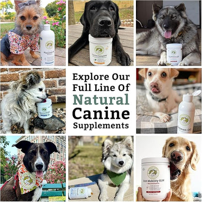Wholistic Pet Organics Canine Complete - Dog Multivitamin Powder - 2 Lb - Daily Dog Vitamins and Supplements for Homemade Food - Immune System, Skin, Coat & Overall Health - All Breeds - 90 Scoops