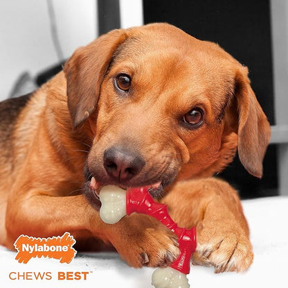 Nylabone Double Bone Power Chew Toy for Dogs, Dog Toys for Aggressive Chewers, Bacon Flavor, X-Small - Up to 15 lbs, 1 Count