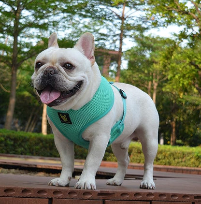EcoBark Dog Harness - Luxurious Soft Mesh - Eco-Friendly Over the Head Vest Harness - No Pull & No Choke Design - Padded Breathable Body Halter - for Large Breeds (Mint, XXL)