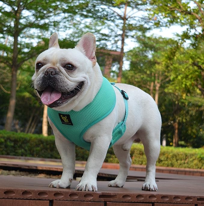 EcoBark Dog Harness - Eco-Friendly Max Comfort Harnesses - Luxurious Soft Mesh Halter - Over The Head Harness Vest- No Pull and No Choke for Large, XL, and XXL Dogs (XL, Mint Turquoise)