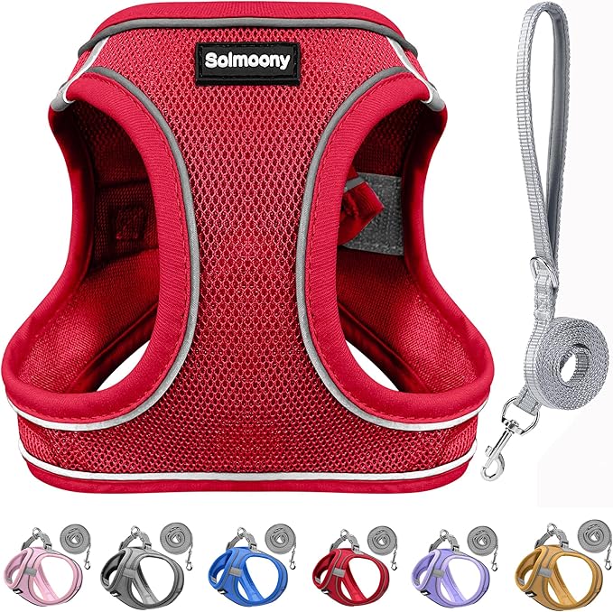 Solmoony Sparkly Medium Dog Harness and Leash Set, Step in Soft Light Puppy Vest, Breathable Reflective Pet Harness for Walking, Puppy Harness for Medium Dogs Cats (Red, L)