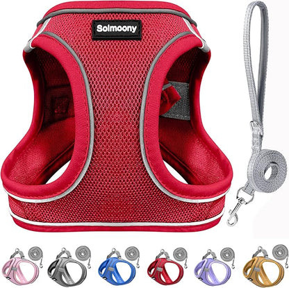 Solmoony Sparkly XXXS Dog Harness and Leash Set, Step in Soft Light Puppy Vest, Breathable Reflective Pet Harness for Walking, Puppy Harness for Small Dogs Cats (Red, XXXS)