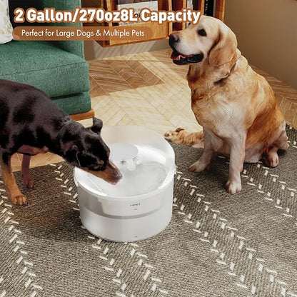 NPET Dog Water Fountain,270oz/2Gallon/8L Anti Splash Automatic Pet Drinking Fountain Super Quiet Water Feeder with Replacement Filters Easy to Clean(semi-White)