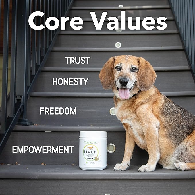 InClover Connectin Natural Hip & Joint Supplement for Dogs with Glucosamine, Chondroitin & Hyaluronic Acid - Powder for Dog Mobility, Comfort & Active Lifestyle Support, 23oz