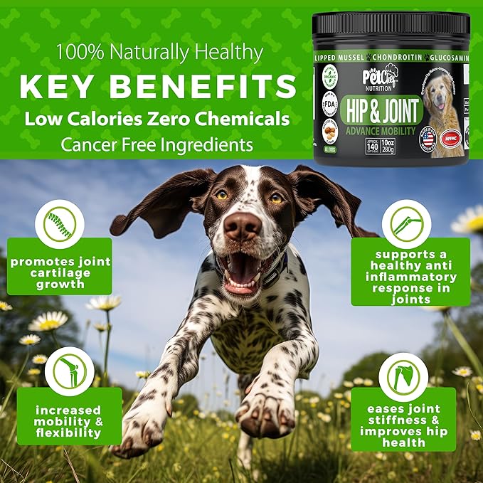 Pet Chef Dog Hip & Joint Pain Relief Supplement - Glucosamine, Chondroitin, MSM, Turmeric - Cannine Arthritis Pain Relief & Mobility Chews - Hip Joint Support Treats Peanut Butter 140ct Low Calories!