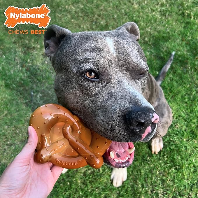 Nylabone Pretzel Power Chew Toy for Dogs, Dog Toys for Aggressive Chewers, Bacon & Peanut Butter Flavor, X-Large Dogs - 50+ lbs, 1 Count