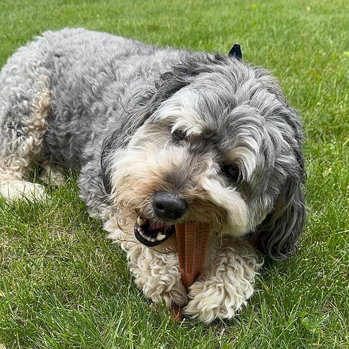 SPOT Bam-Bones Plus Coffee Wood T-Bone Dog Chew Toy, Beef Flavor, Nylon and Coffee Wood Fiber Blend, Durable Chew for Heavy Chewers and Dogs Under 90 lbs, Non-Splintering Dental Chew, 7 Inch