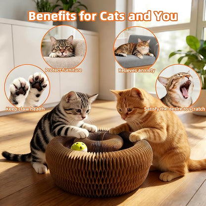 Twisty Paws Cat Toy - Magic Organ Kitty Curl Scratcher with Bell-Ball, Magnetic & Foldable Cardboard Shape Shifting, Interactive Accordion Kurlz Board for Indoor Cats