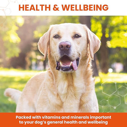 Vetzyme Conditioning Tablets For Dogs Pot Size: 100 Tablets