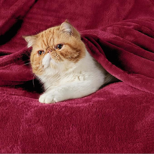 Bedsure GentleSoft Fleece Throw XL Blanket Red - 300GSM Soft Lightweight Plush Cozy Blankets for Bed, Sofa, Couch, Travel, Camping, 50x70 inches