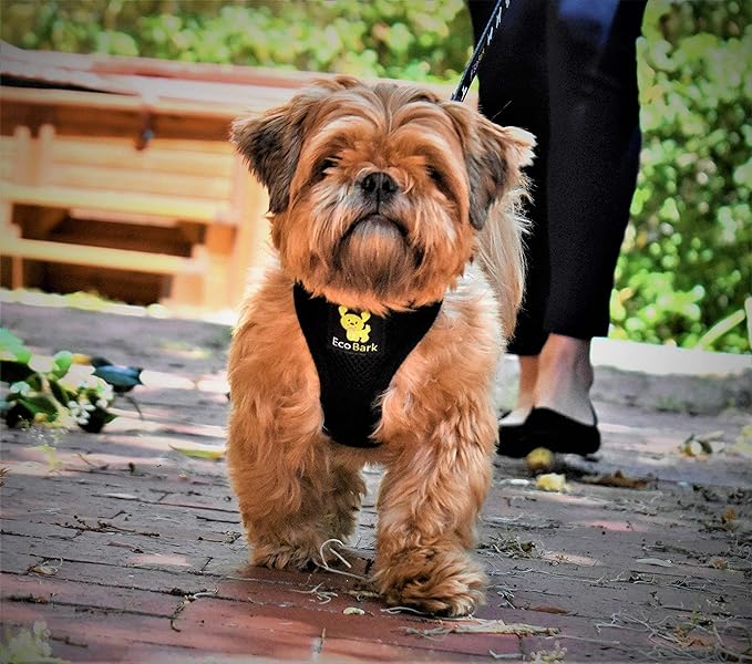 EcoBark Dog Harness - Eco-Friendly Max Comfort Harnesses - Luxurious Soft Mesh Halter - Over the Head Harness Vest- No Pull and No Choke for Puppy, Toy Breeds & Small Dogs (Small, Black)