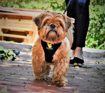 EcoBark Dog Harness - Eco-Friendly Max Comfort Harnesses - Luxurious Soft Mesh Halter - Over the Head Harness Vest- No Pull and No Choke for Puppy, Toy Breeds & Small Dogs (Small, Black)