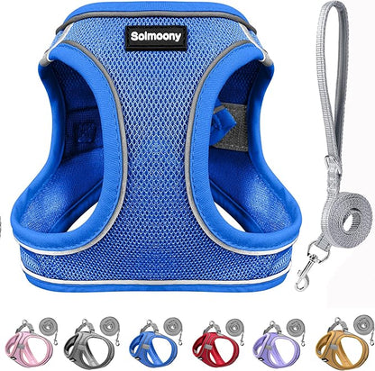 Solmoony Sparkly Medium Dog Harness and Leash Set, Step in Soft Light Puppy Vest, Breathable Reflective Pet Harness for Walking, Puppy Harness for Medium Dogs Cats (Blue, M)