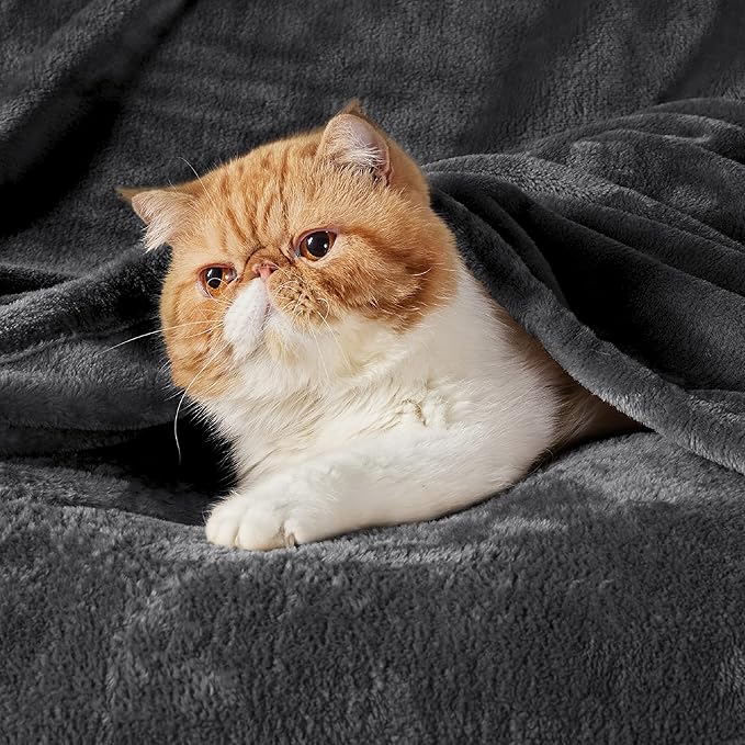 Bedsure GentleSoft Twin XL Fleece Blanket Dorm Bedding - Lightweight Soft Cozy Blankets for Bed, Sofa, Couch, Travel, Camping, Charcoal, 66"x90"