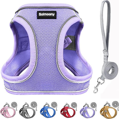 Solmoony Sparkly Medium Dog Harness and Leash Set, Step in Soft Light Puppy Vest, Breathable Reflective Pet Harness for Walking, Puppy Harness for Medium Dogs Cats (Purple, L)