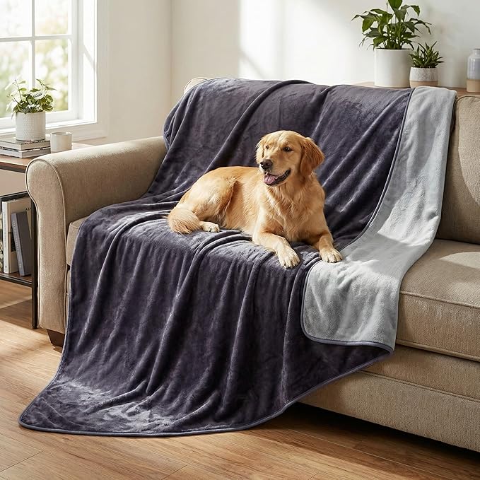 Lavish Home Waterproof Blanket - 80x80 King-Size Blanket for Kids, Pets, and Outdoors - Throw for Bed, Couch, Chair and Car (Purple)