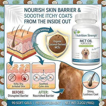 MCT Oil for Dogs from Organic Coconuts - Support Cognitive Function & Energy - Pure C8 & C10 Medium Chain Triglycerides - Boost Immunity & Senior Dog Brain Support, 90 Soft Gels