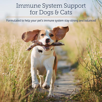 Rx Vitamins CurcuWIN - Curcumin for Dogs & Cats - Vitamins and Supplements, Allergy Relief - Provides Immune Support & Aids Digestive Support - Joint Supplement - 90ct