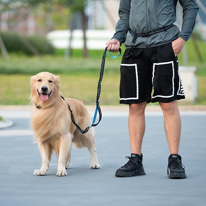 iYoShop Hands Free Dog Leash with Zipper Pouch, Dual Padded Handles and Durable Bungee for Walking, Jogging and Running Your Dog (White-Green Mix, Large)