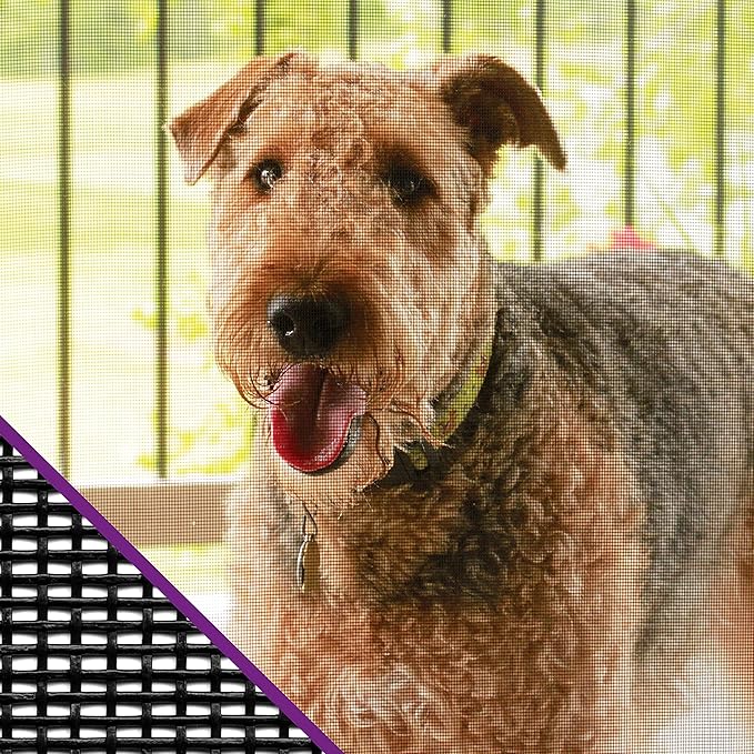 Saint-Gobain ADFORS FCS8994-M Premium Pet Screen, 48" x 84", Charcoal