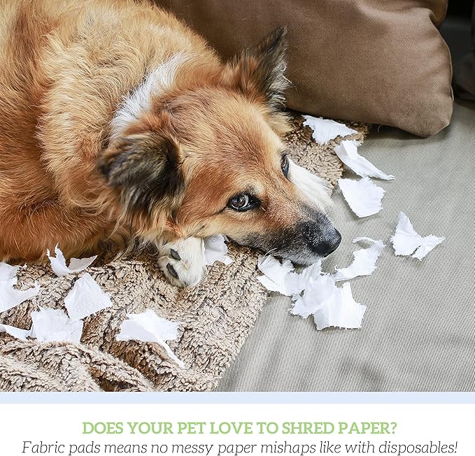 GREEN LIFESTYLE Washable Pee Pads for Dogs - Thick Heavy Absorbent Waterproof Pet Training Pads - Puppy Pads - for Puppy Playpen, Crate, Whelping Box, Potty Training (Pack of 2 - 18x24)