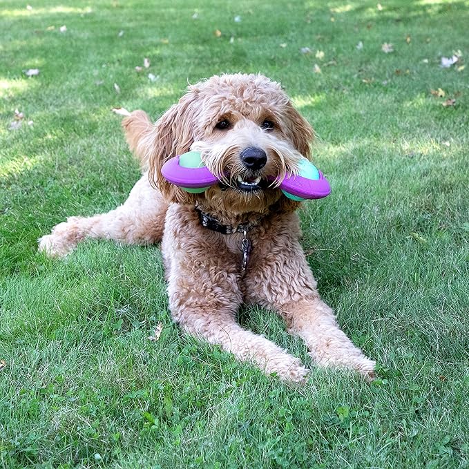 Chew King Premium Treat Dog Toy, Durable Natural Rubber Collection, Fetch and Tug Dog Toy, Dog Treat Toys for Boredum