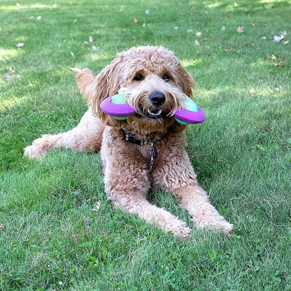 Chew King Premium Treat Dog Toy, Durable Natural Rubber Collection, Fetch and Tug Dog Toy, Dog Treat Toys for Boredum